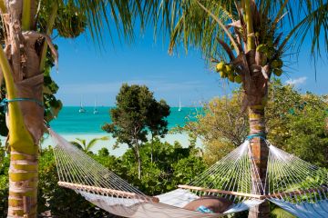 Tropical beach, palm trees, hammocks and sailboats